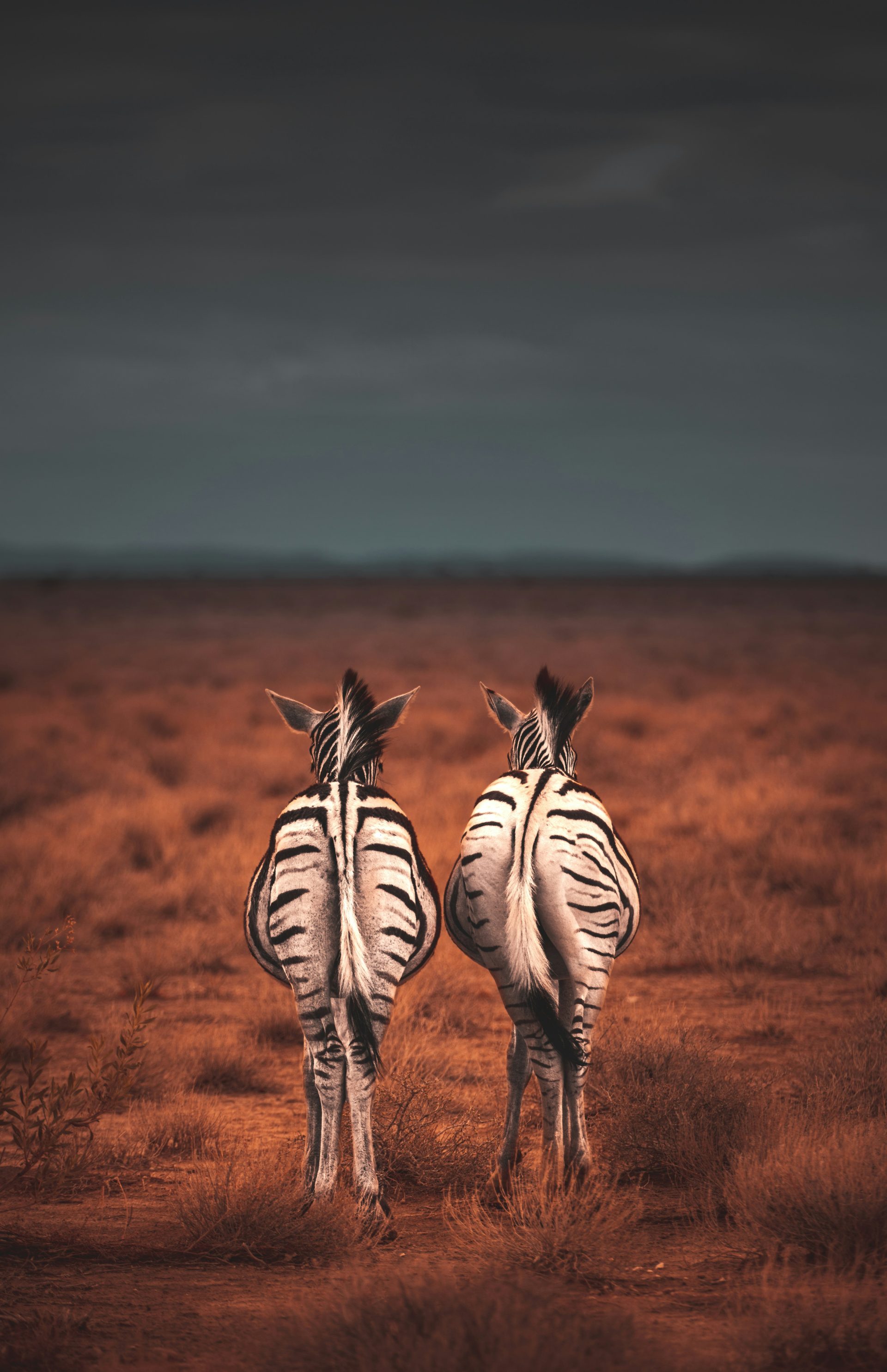 Premium Namibia