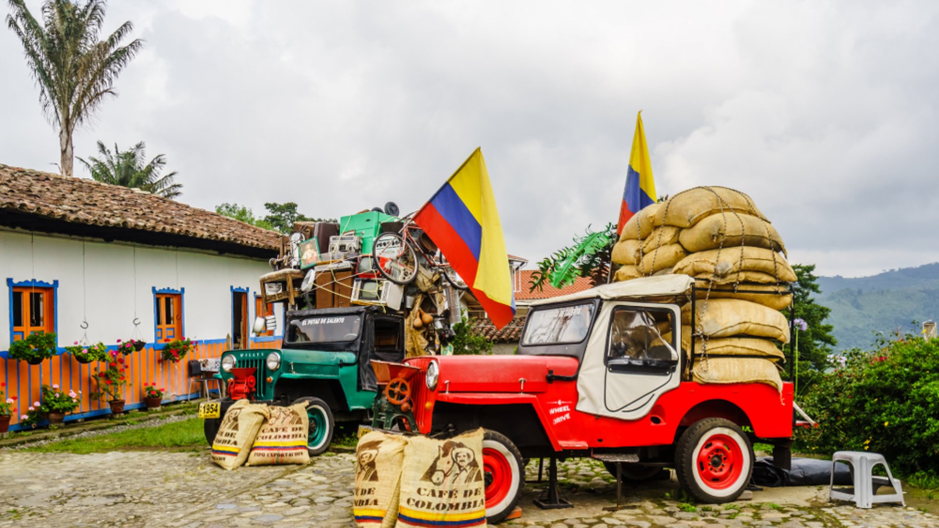 Cocora Valley Coffee Region Experience