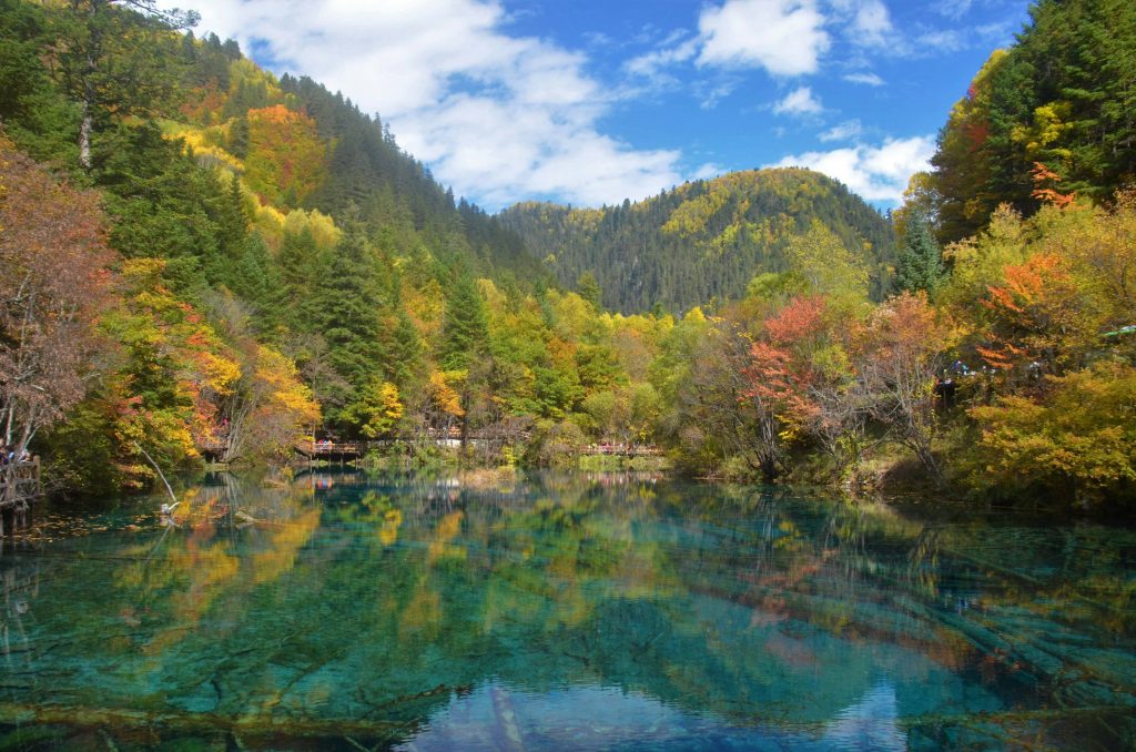 Asia